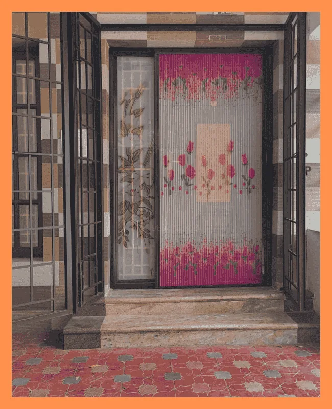 Mosquito nets for doors